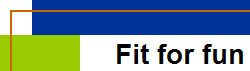 Fit for fun