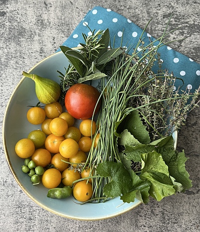 Topfgarten: Erntezeit fr Gemse und Kruter vom Balkon