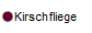 Kirschfliege