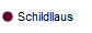 Schildllaus