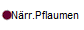   Nrr.Pflaumen