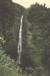 Wasserfall auf Hawaii