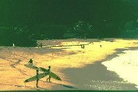 Waimea Beach Park - Surfer