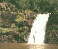 Waimea Falls im Park