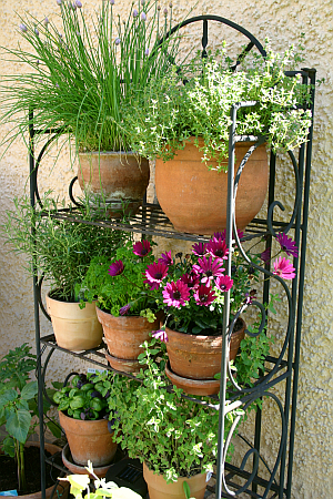 Topfregal für das Vertical Gardening auf der Terrasse oder dem Balkon
