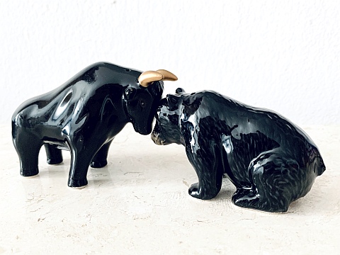 Bullen und Bären an der Börse (Börsenwissen für Einsteiger
